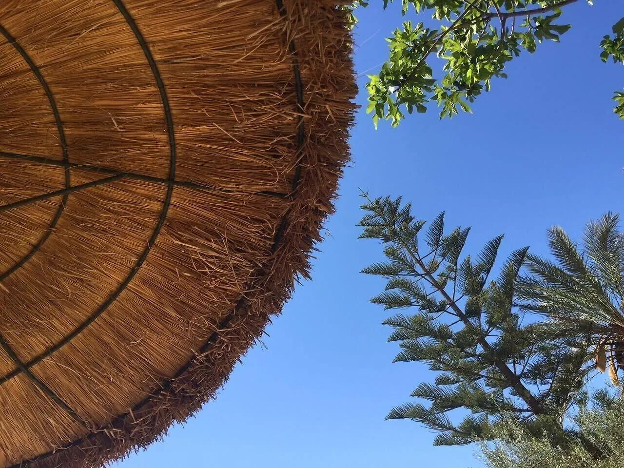 Agroturisme Son Barcelo Mas Campos  Farm stay